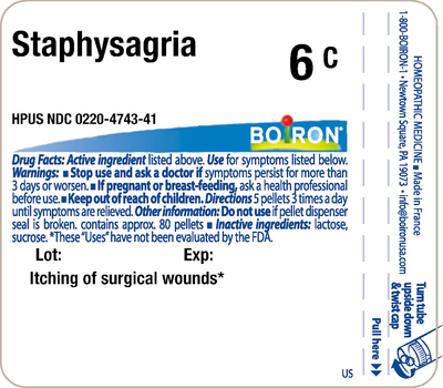 Staphysagria 6C 80 plts Curated Wellness