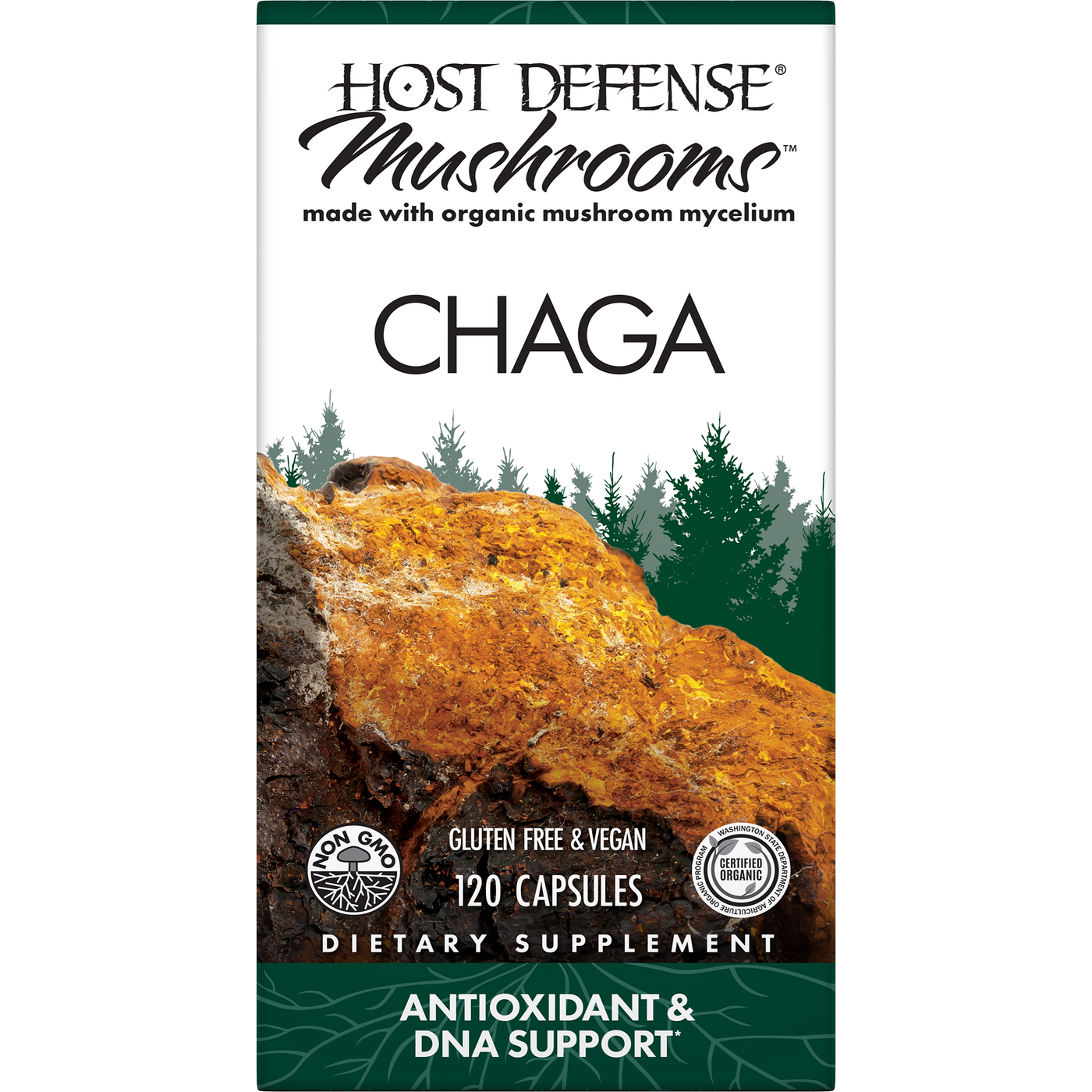 Chaga Capsules 120 ct Curated Wellness