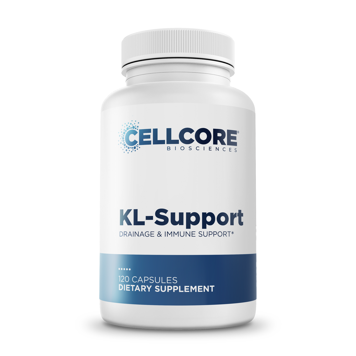 KL Support †