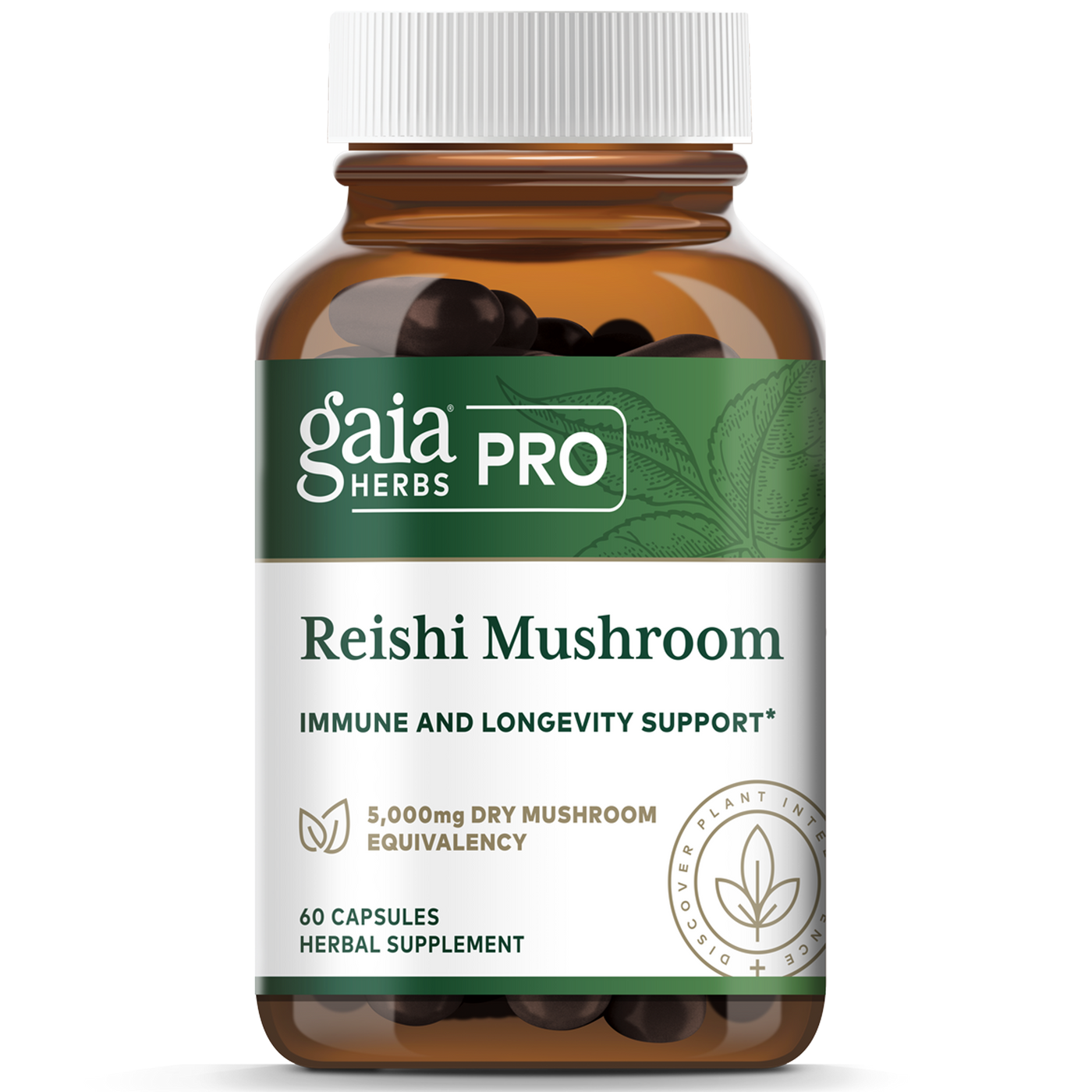 Reishi Mushroom  Curated Wellness