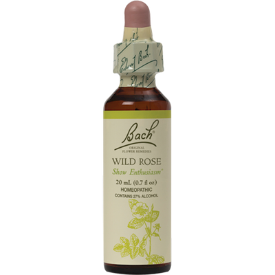 Wild Rose Flower Essence  Curated Wellness