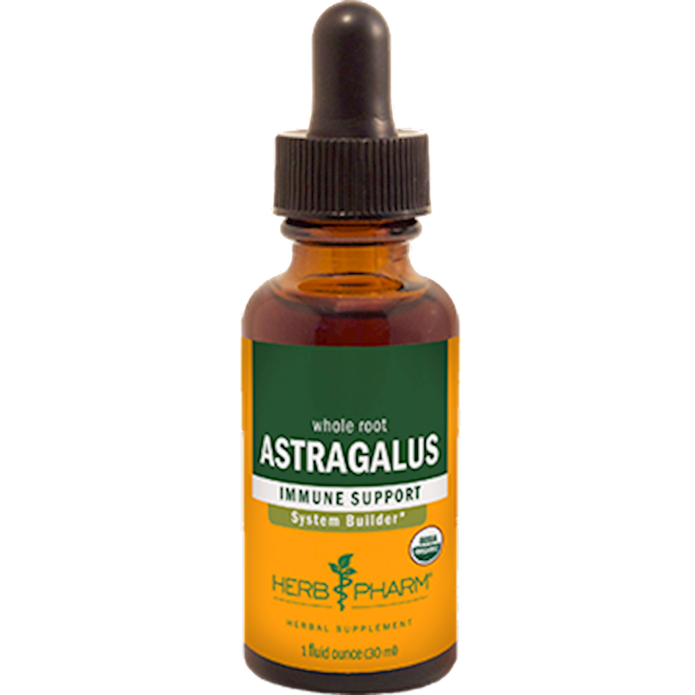 Astragalus  Curated Wellness