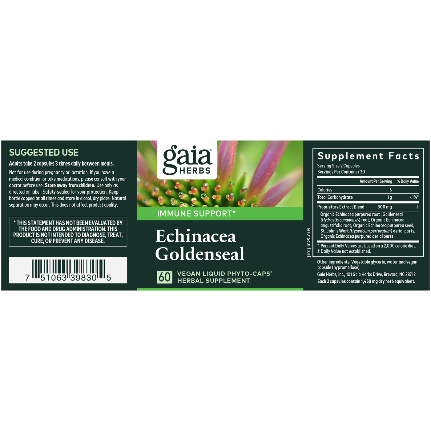 Echinacea Goldenseal 60c Curated Wellness