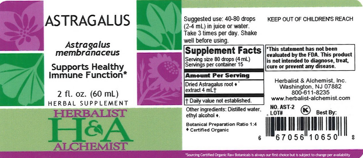 Astragalus Extract  Curated Wellness