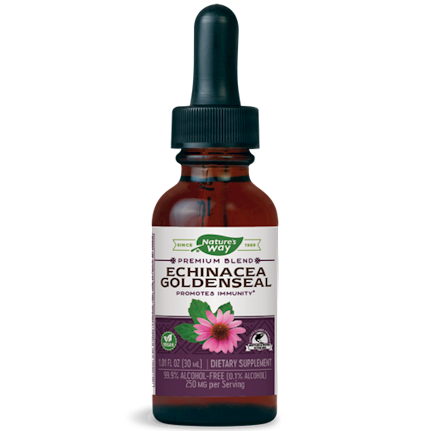 Echinacea Goldenseal Alcohol Free  Curated Wellness
