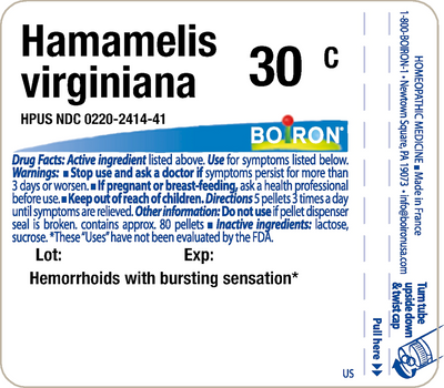 Hamamelis virginiana 30C 80 plts Curated Wellness