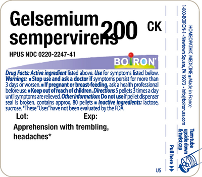 Gelsemium sempervirens 200CK 80 plts Curated Wellness