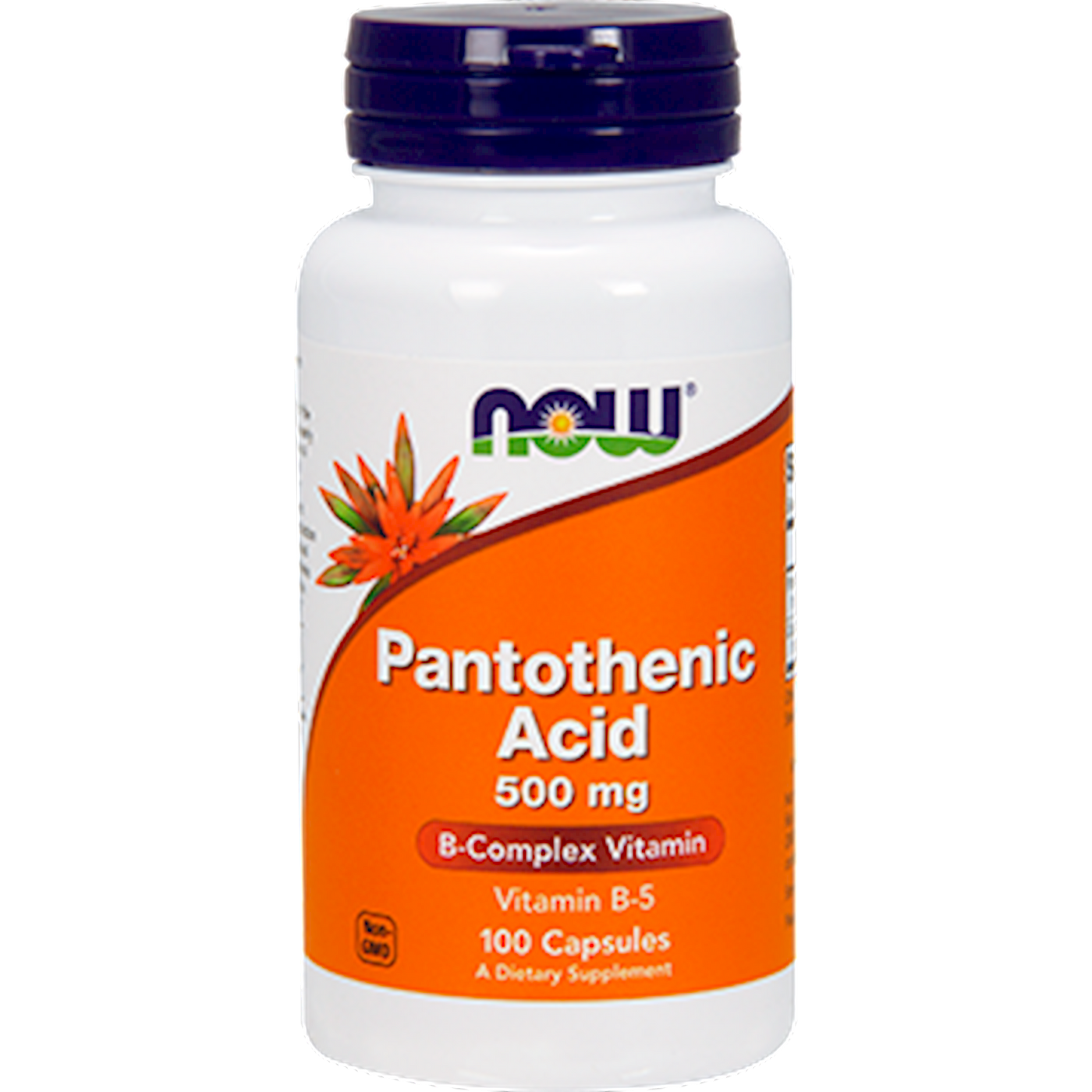 Pantothenic Acid 500 mg  Curated Wellness