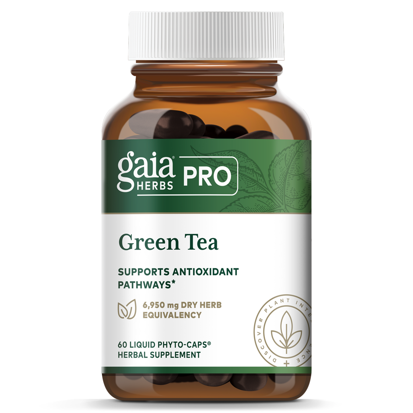 Green Tea  Curated Wellness