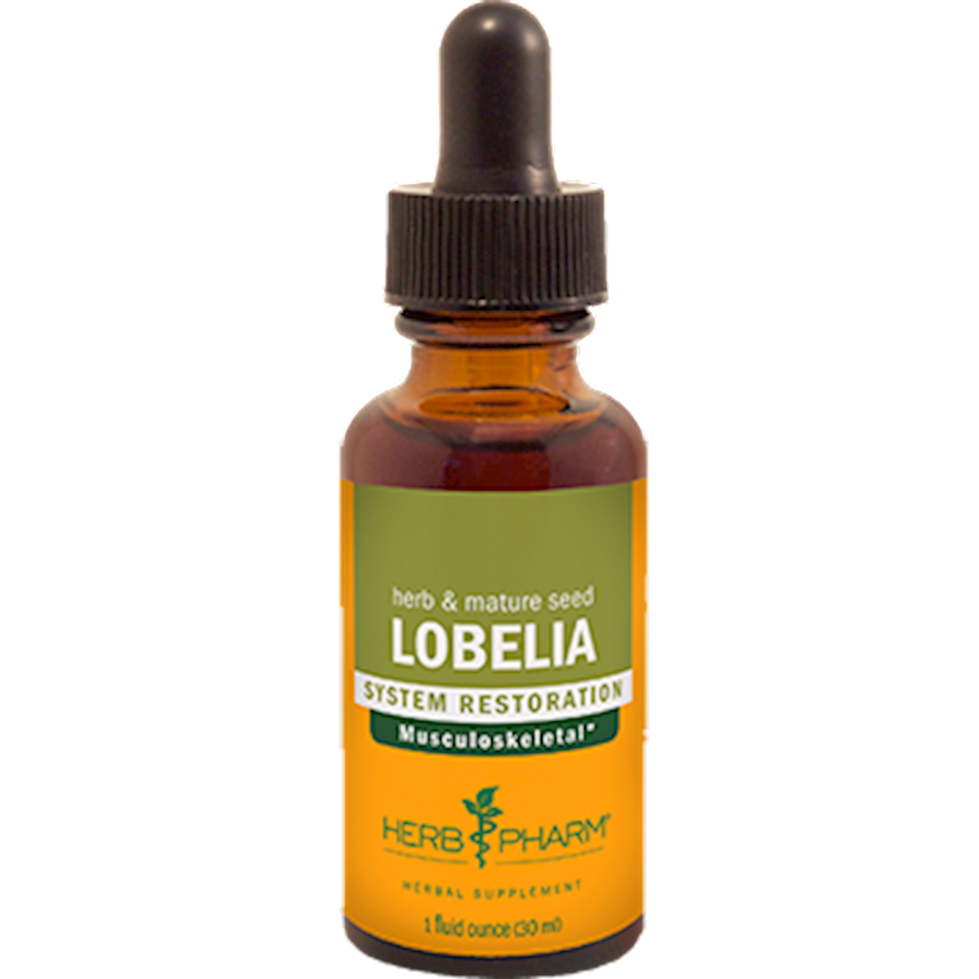 Lobelia  Curated Wellness