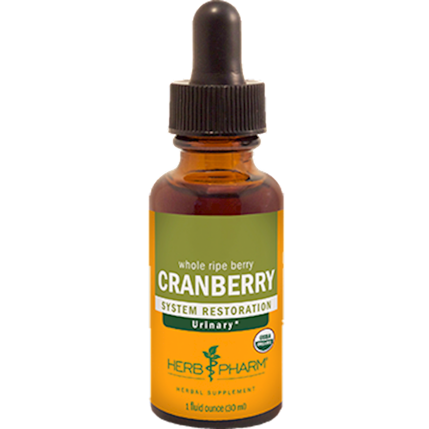 Cranberry  Curated Wellness
