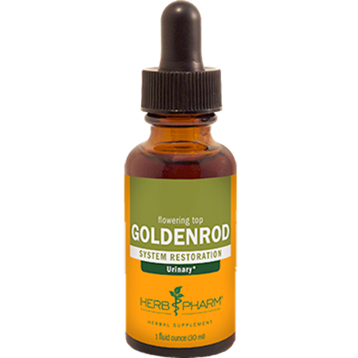Goldenrod  Curated Wellness