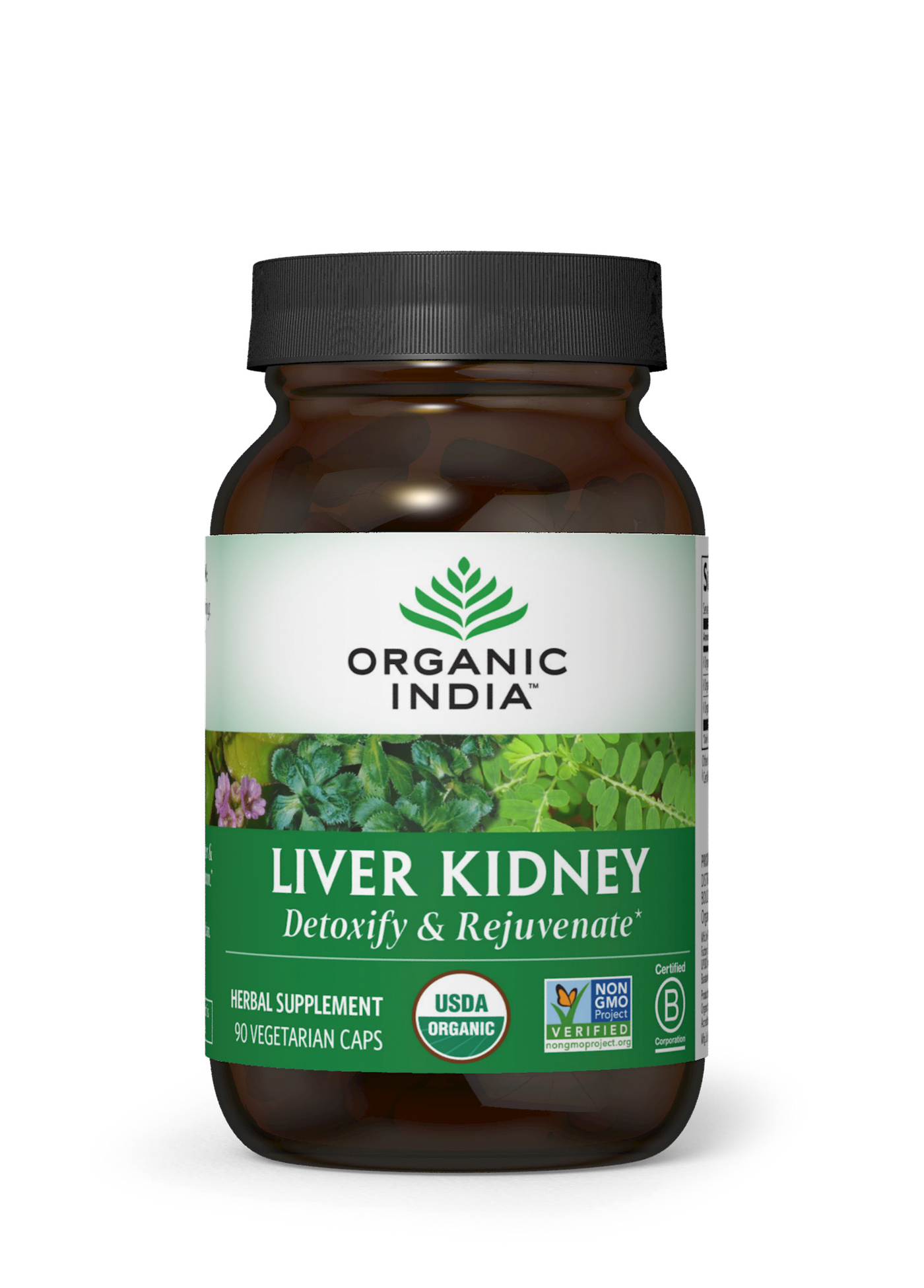 Liver Kidney  Curated Wellness