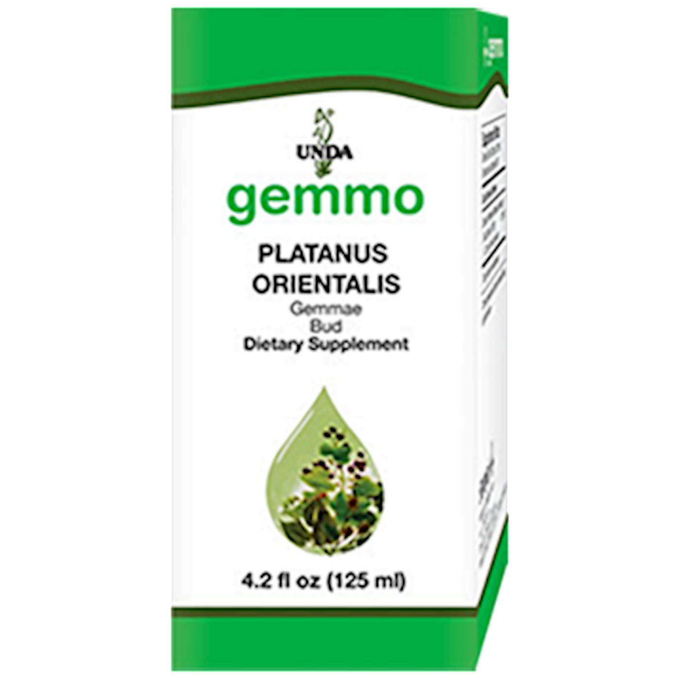 Platanus orientalis 4.2 fl oz Curated Wellness