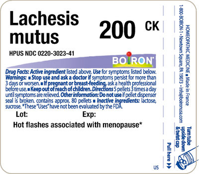 Lachesis mutus 200CK 80 plts Curated Wellness