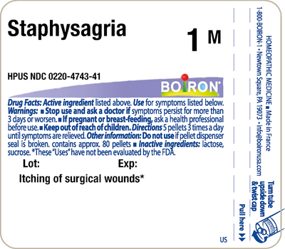 Staphysagria 1M 80 plts Curated Wellness