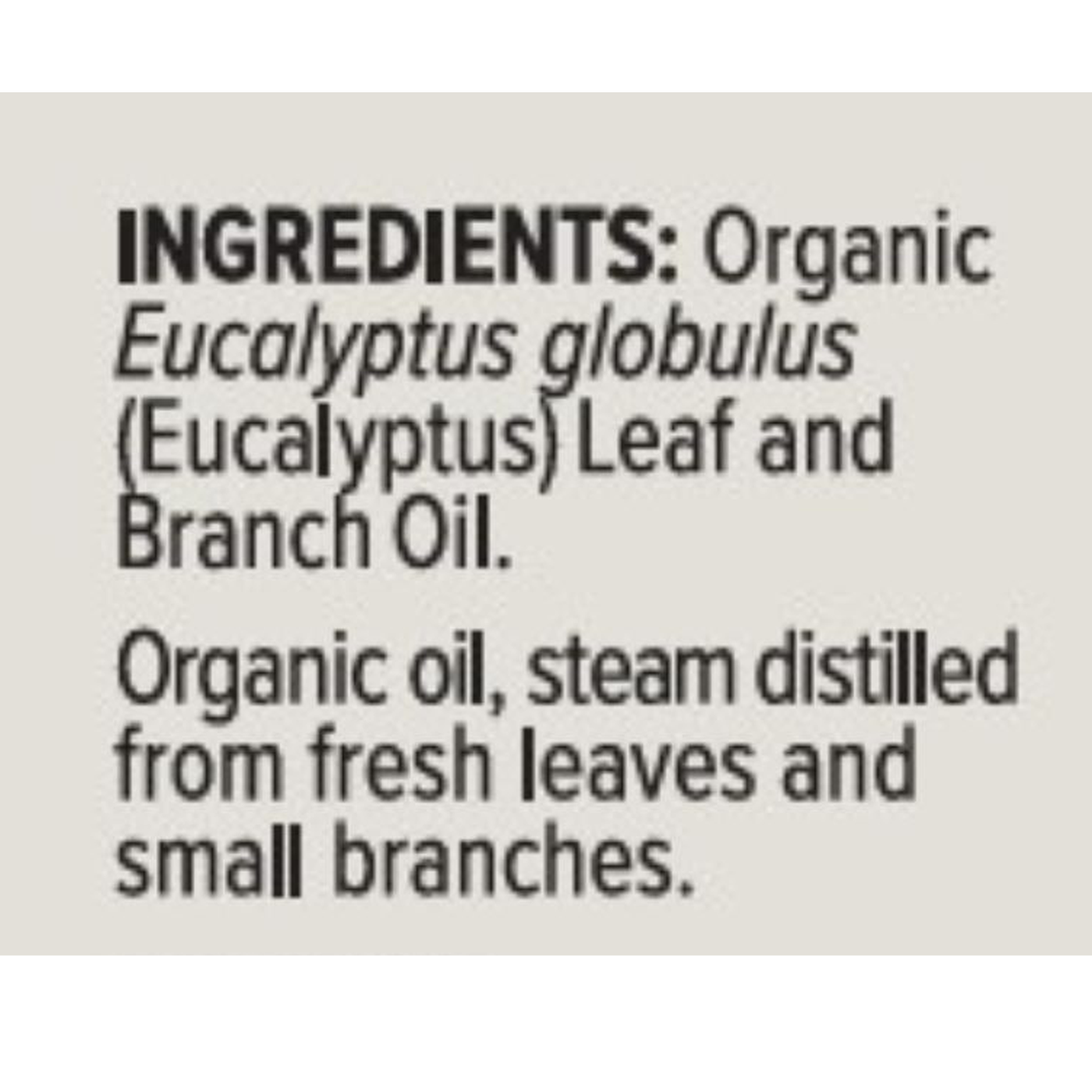 Organic Eucalyptus Essential Oil 1 fl oz Curated Wellness