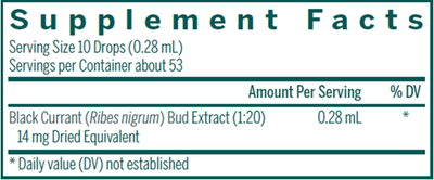 Black Currant Bud 0.5 fl oz Curated Wellness