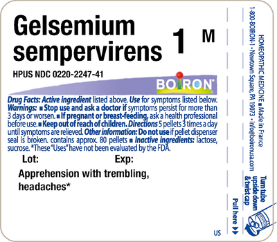 Gelsemium sempervirens 1M 80 plts Curated Wellness