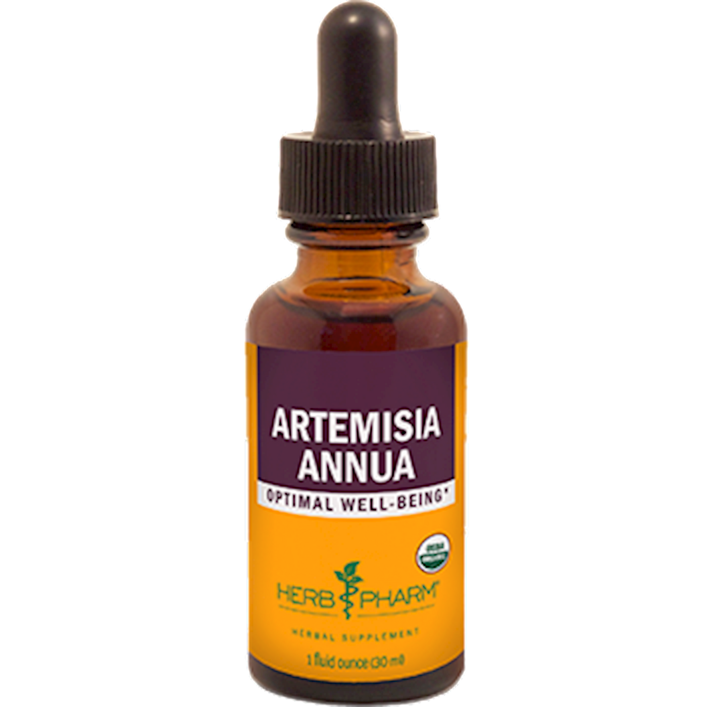 Artemisia annua  Curated Wellness