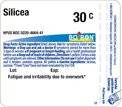 Silicea 30C 80 plts Curated Wellness