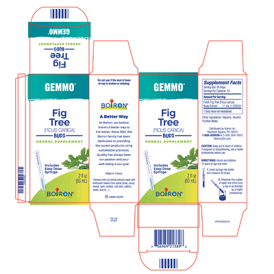 Gemmo Fig Tree Buds 2 fl oz Curated Wellness