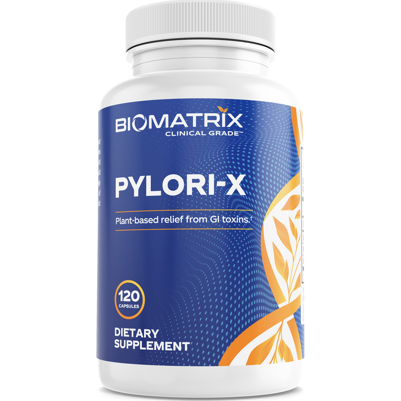 Pylori-X  Curated Wellness