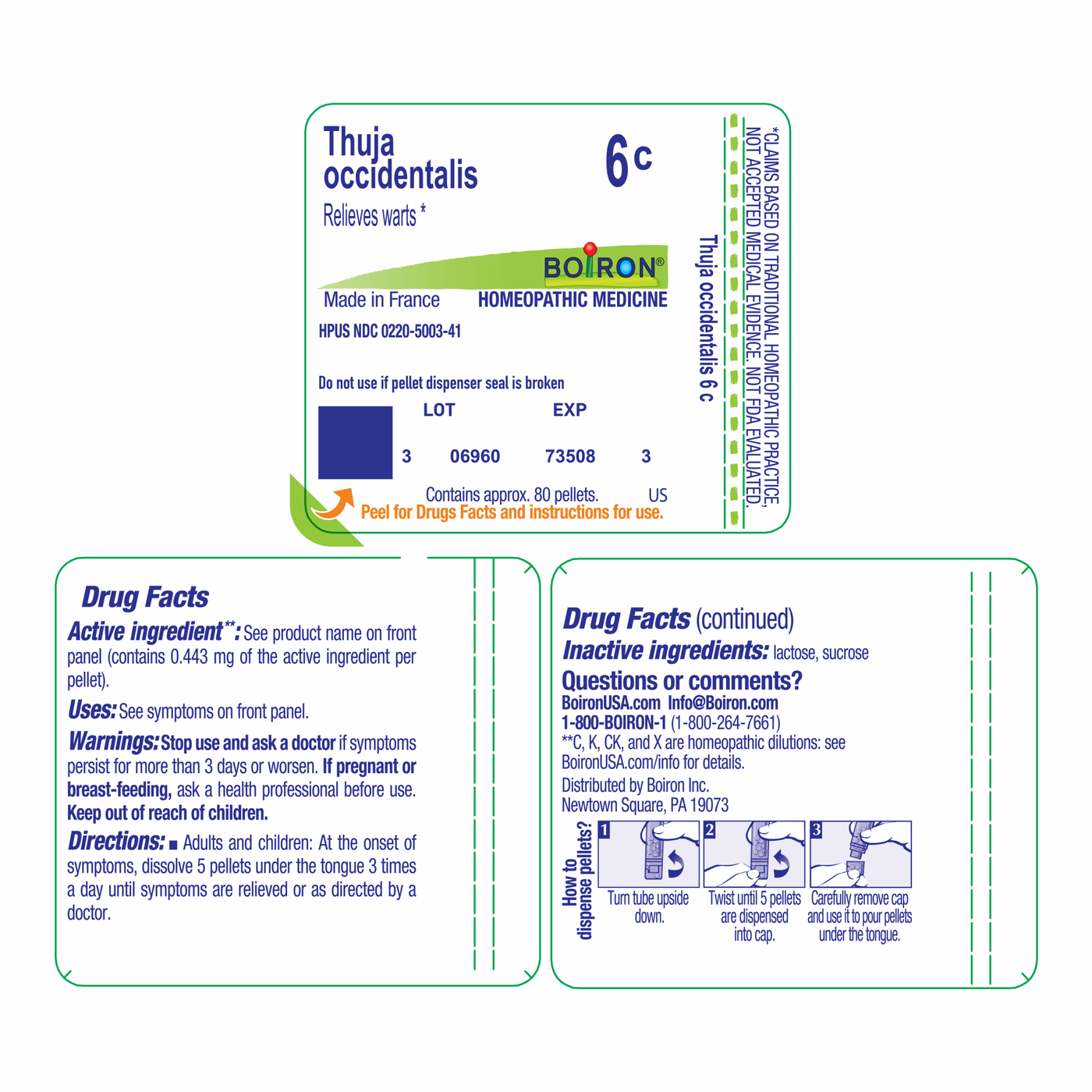 Thuja occidentalis 6C 80 plts Curated Wellness