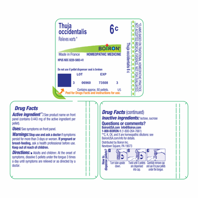 Thuja occidentalis 6C 80 plts Curated Wellness