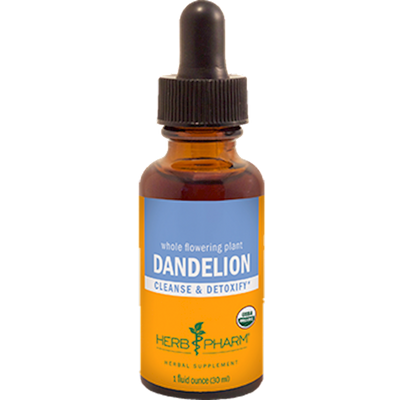 Dandelion  Curated Wellness