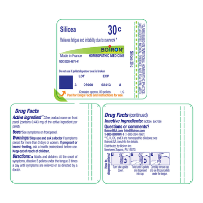 Silicea 30C 80 plts Curated Wellness