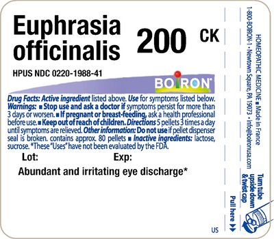 Euphrasia officinalis 200CK 80 plts Curated Wellness