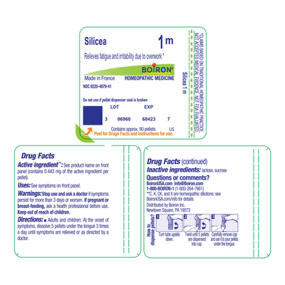 Silicea 1M 80 plts Curated Wellness