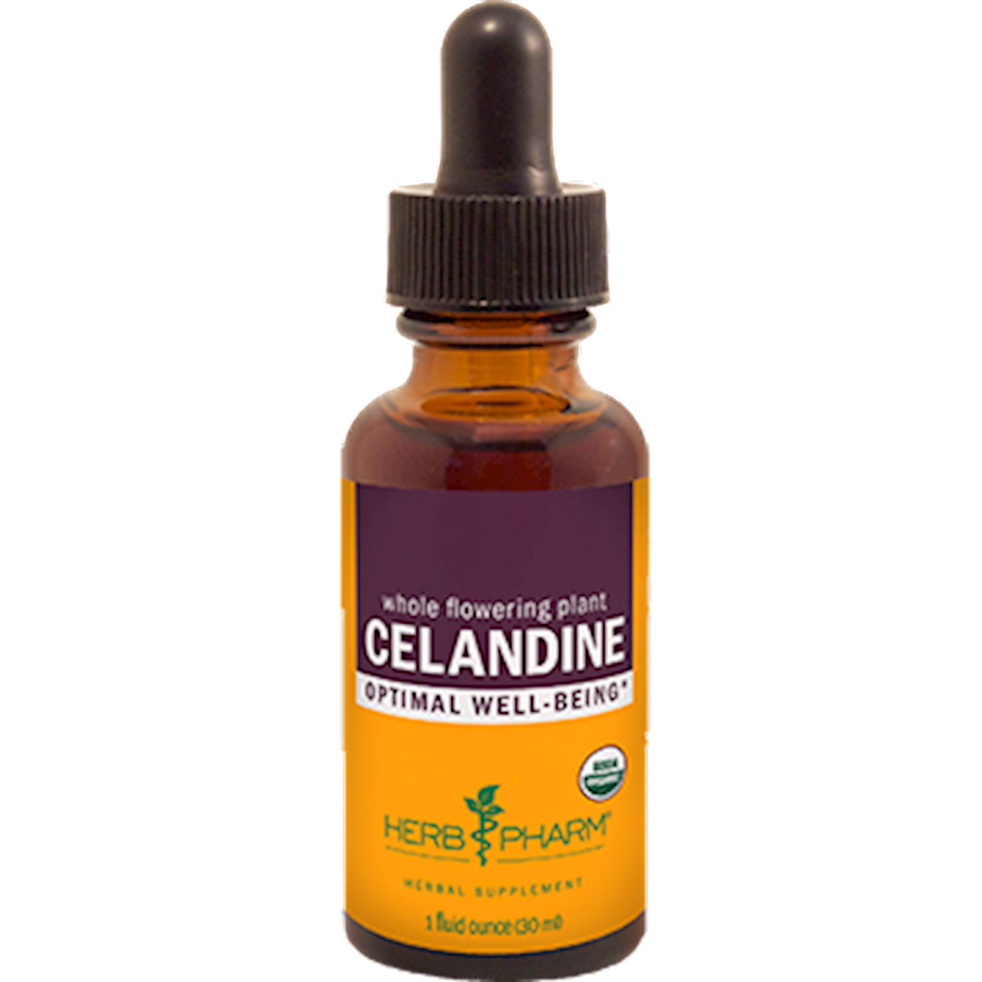 Celandine  Curated Wellness