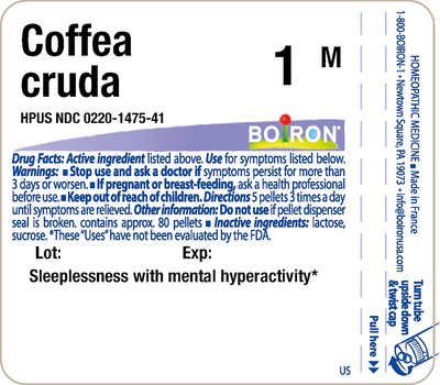 Coffea cruda 1M 80 plts Curated Wellness