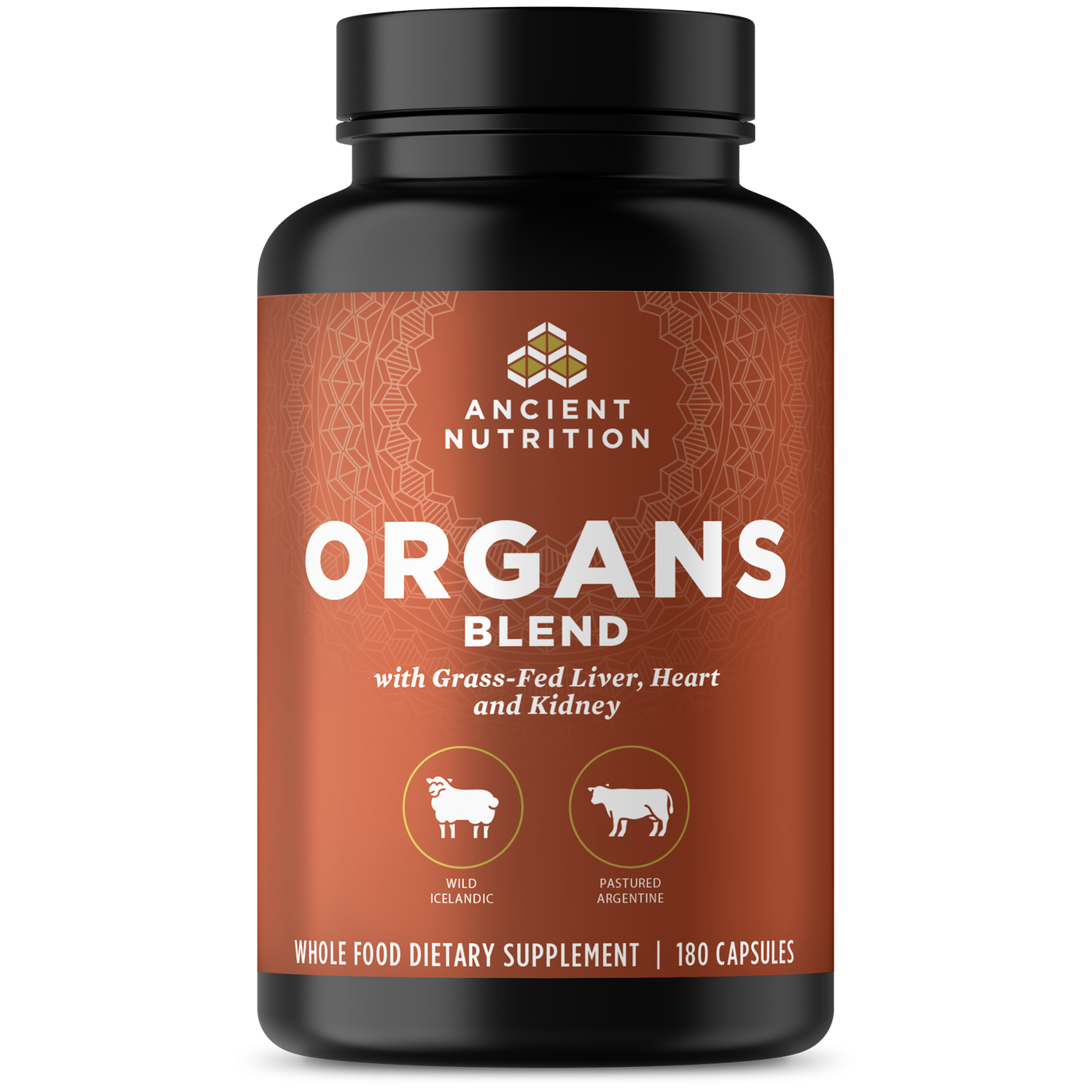Organs Blend  Curated Wellness