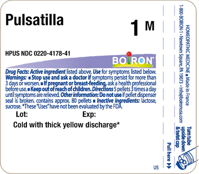 Pulsatilla 1M 80 plts Curated Wellness