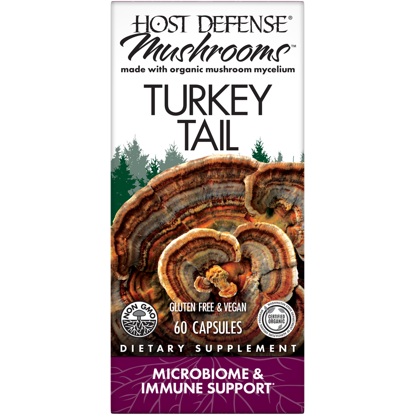 Turkey Tail Capsules  Curated Wellness