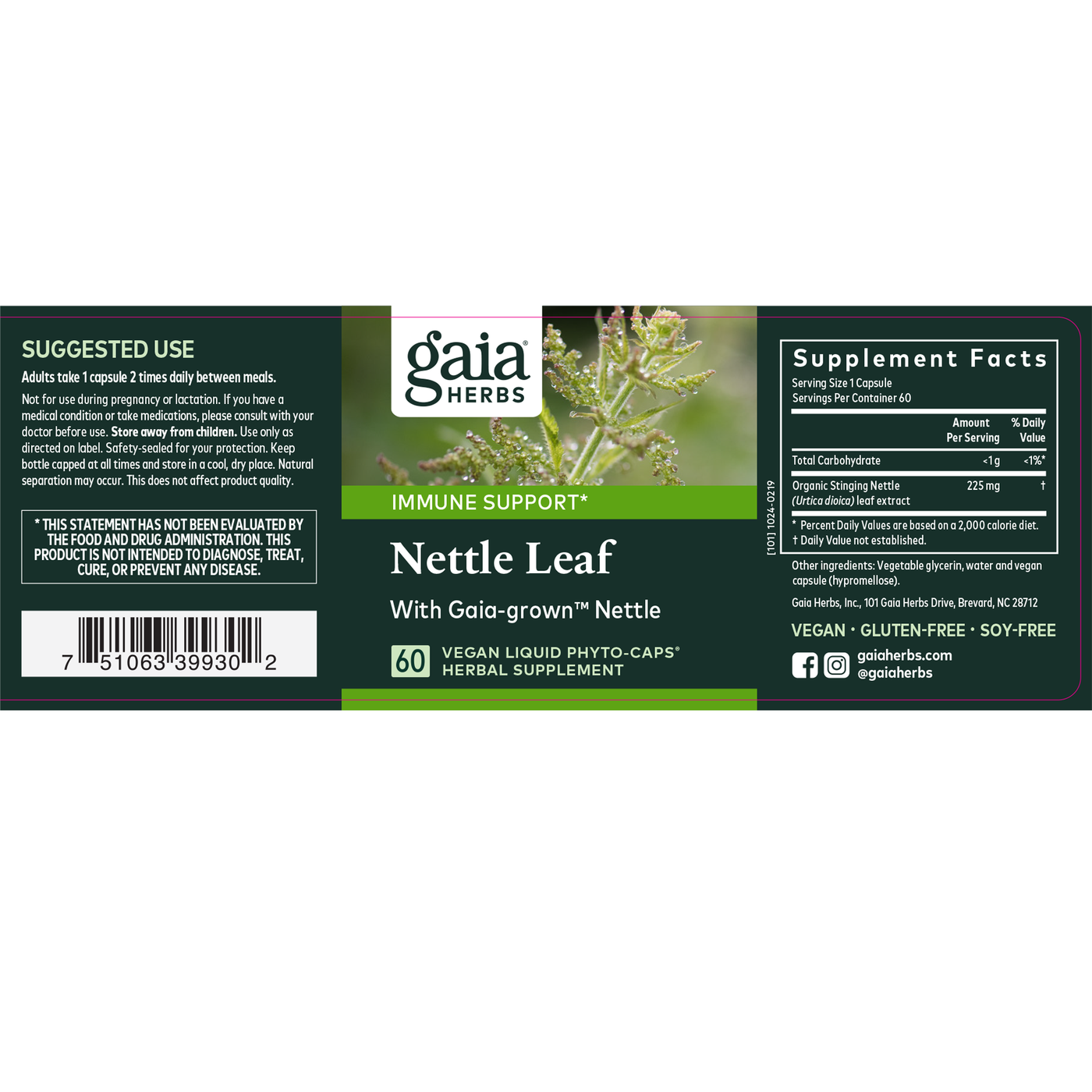 Nettle Leaf c Curated Wellness