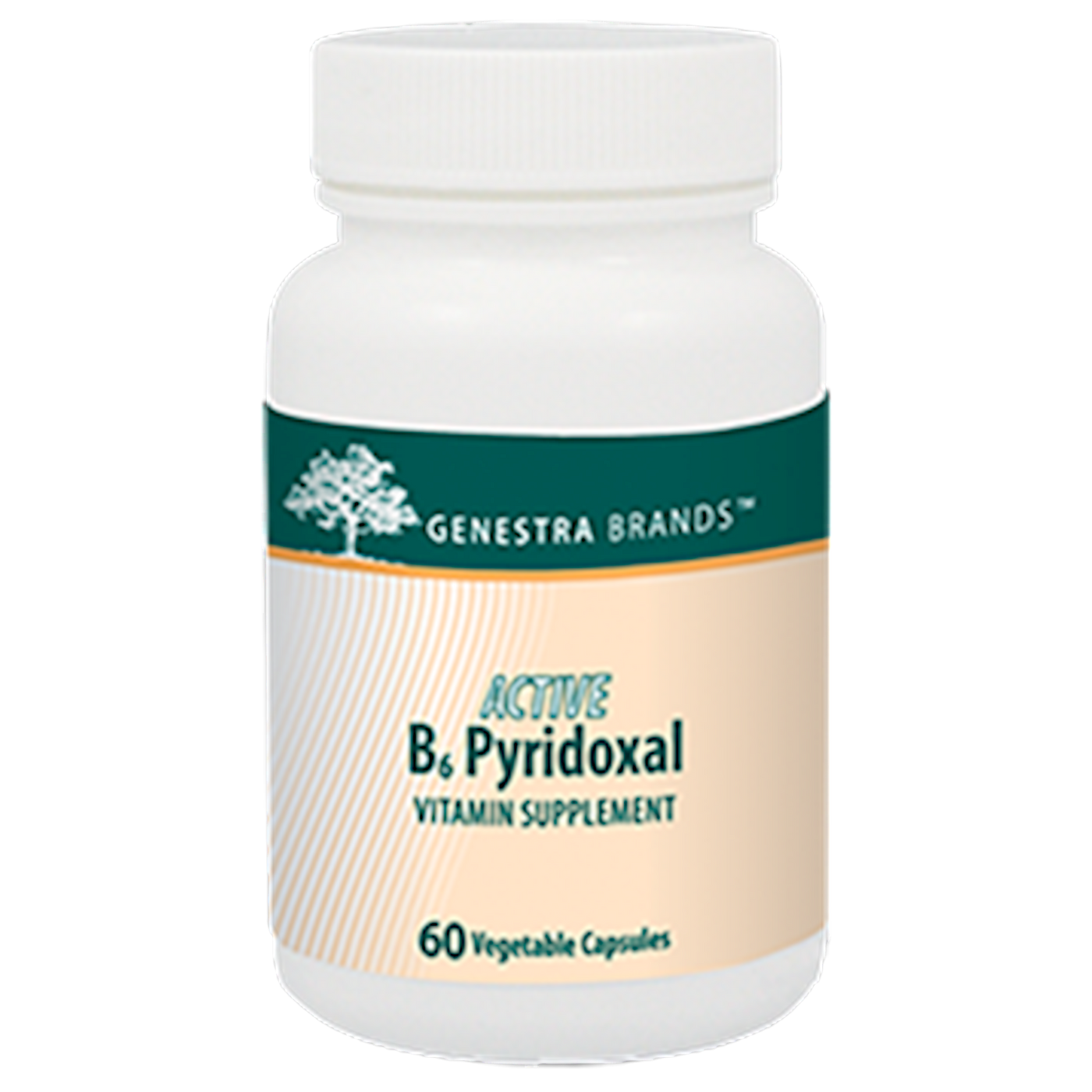 Active B6 Pyridoxal 60 vcaps Curated Wellness