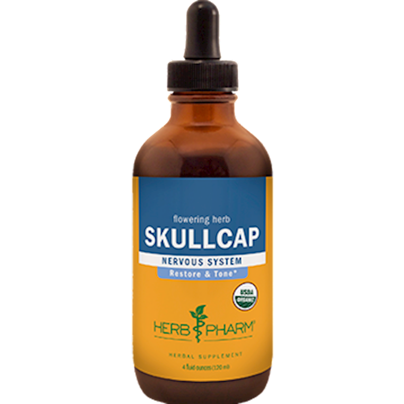 Skullcap  Curated Wellness