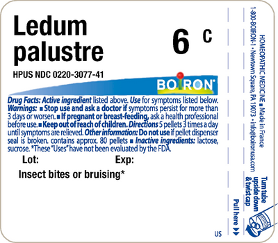 Ledum palustre 6C 80 plts Curated Wellness