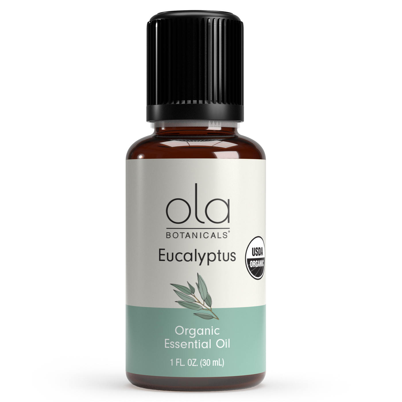 Organic Eucalyptus Essential Oil 1 fl oz Curated Wellness