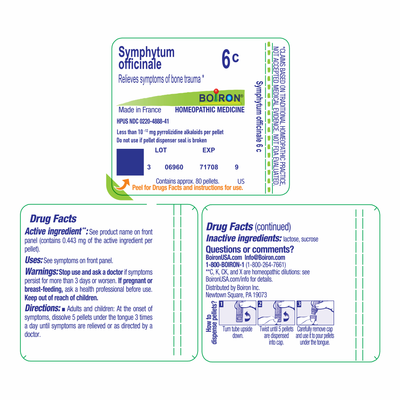 Symphytum officinale 6C 80 plts Curated Wellness