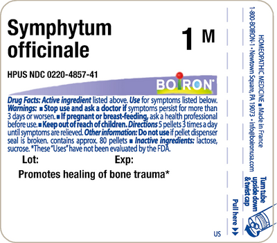 Symphytum officinale 1M 80 plts Curated Wellness