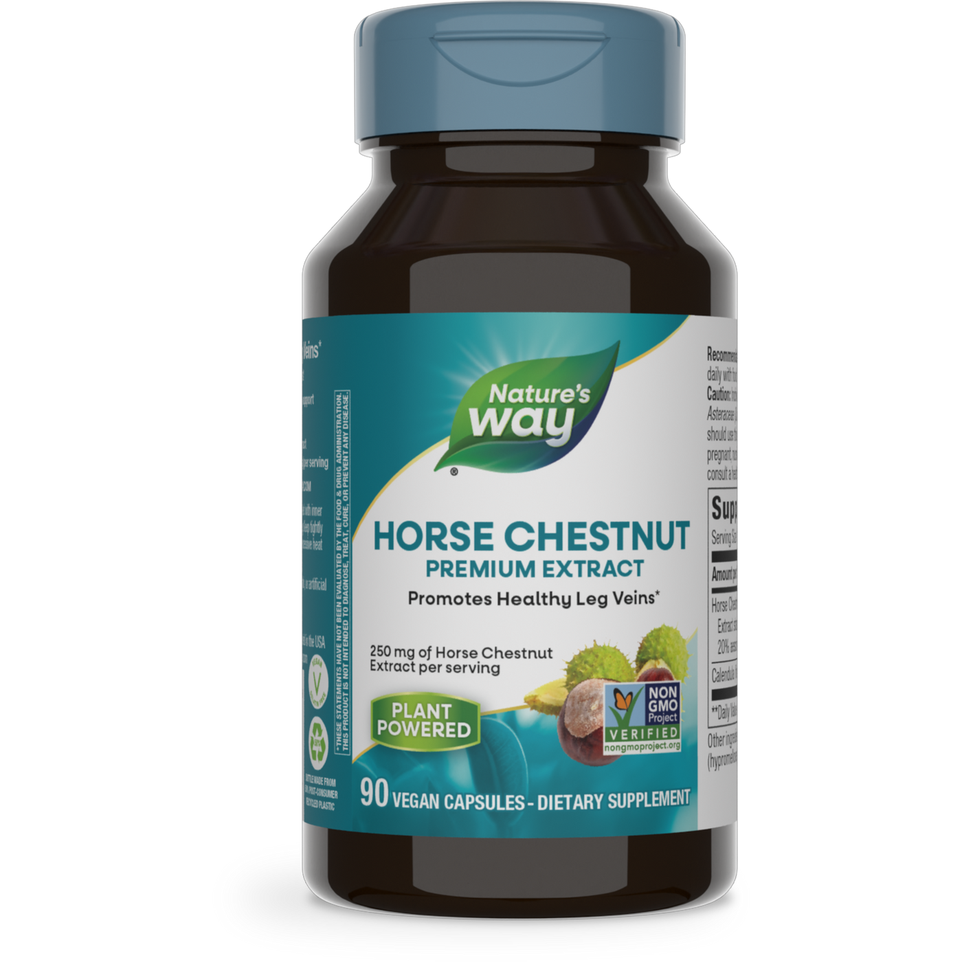 Horse Chestnut Extract  Curated Wellness