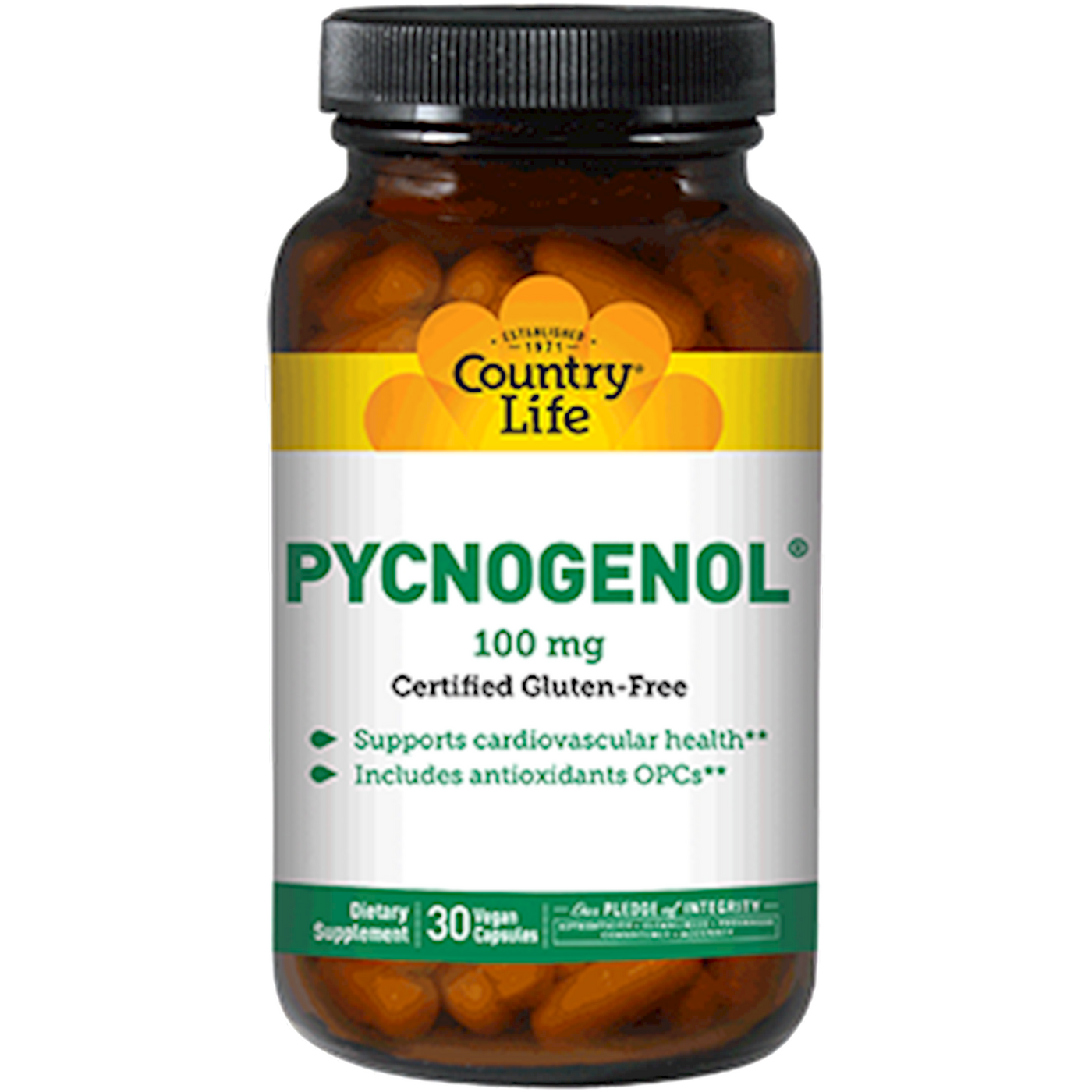 Pycnogenol 100 mg  Curated Wellness
