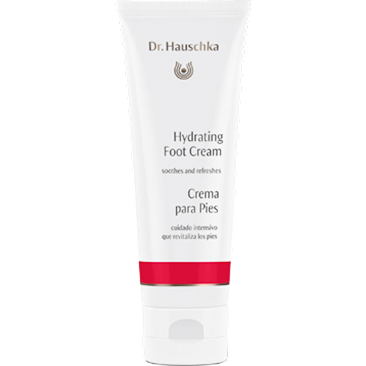 Hydrating Foot Cream 2.5 fl oz Curated Wellness