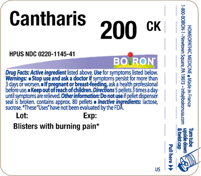 Cantharis 200CK 80 plts Curated Wellness