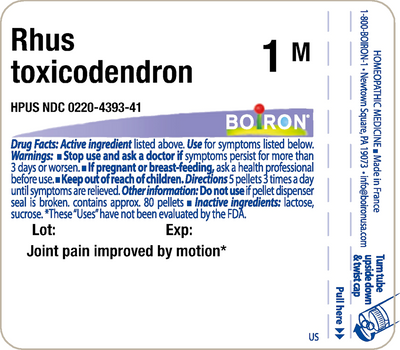 Rhus toxicodendron 1M 80 plts Curated Wellness